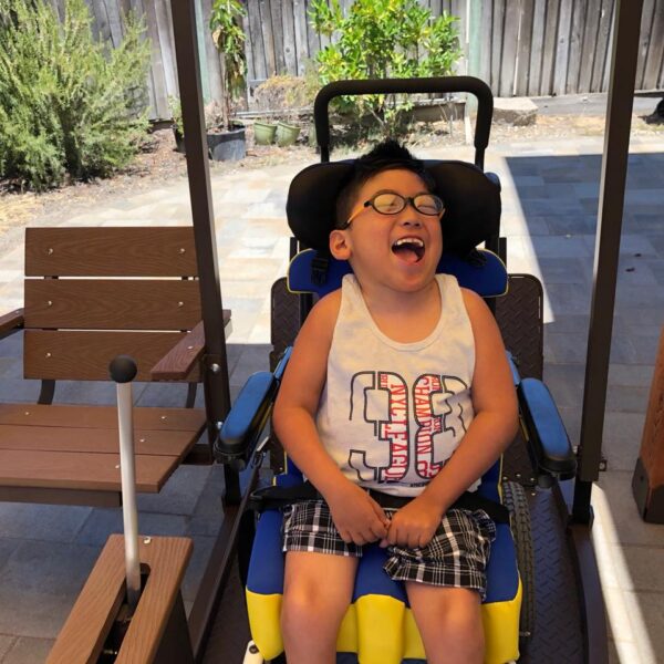 Pergola Style Wheelchair Swing - Image 8